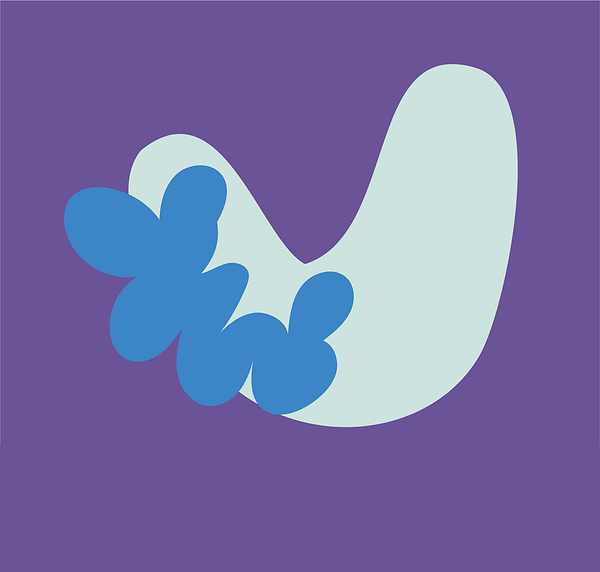 Icono de Reunión informativa online — Amezkua Studio