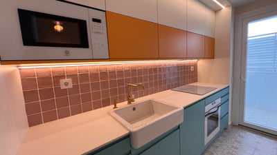 Proyecto Amezkua Studio