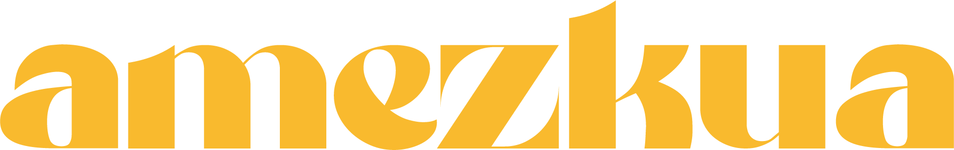 Amezkua Studio 